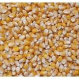 Popcorn mix majs, salt og fedt  rækker til ca. 80-100 liter popcorn